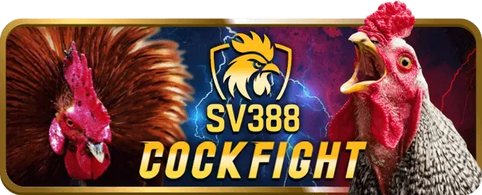Đa dạng các môn thể thao tại 789bet